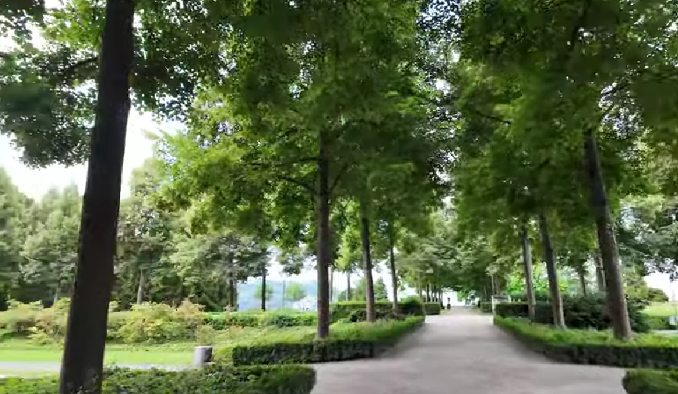 Beautiful park in Bern