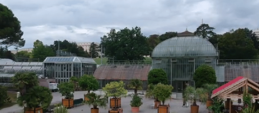 Botanical Garden Geneva – Explore Rare Plants