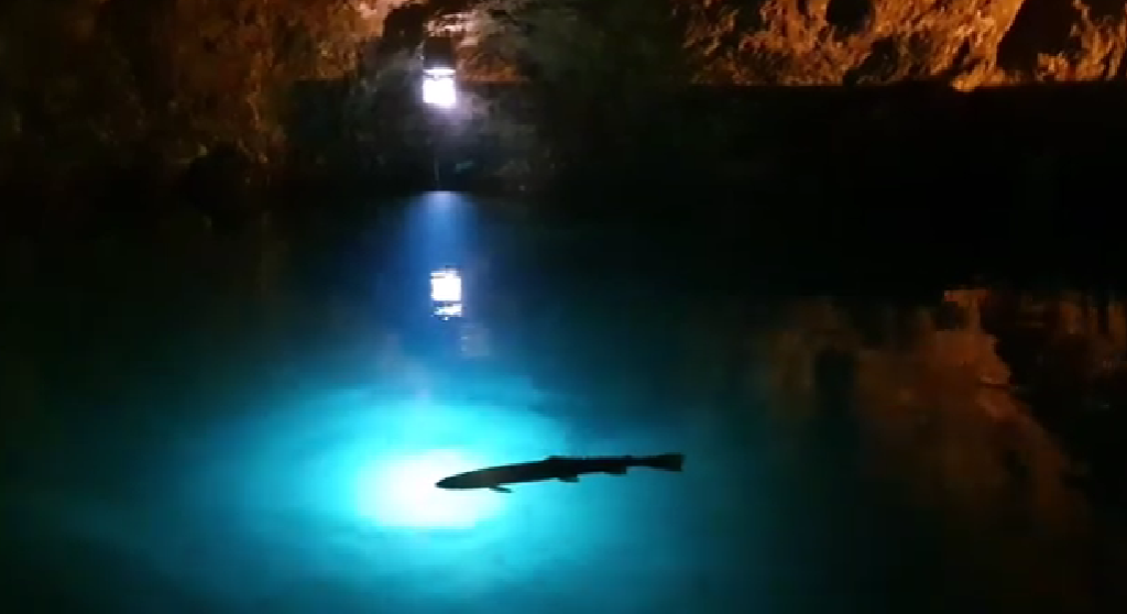 Boat tour on the crystal-clear Underground Lake of Saint-Léonard