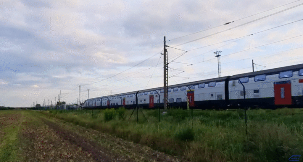 Modern SBB train gliding smoothly along picturesque Swiss countryside
