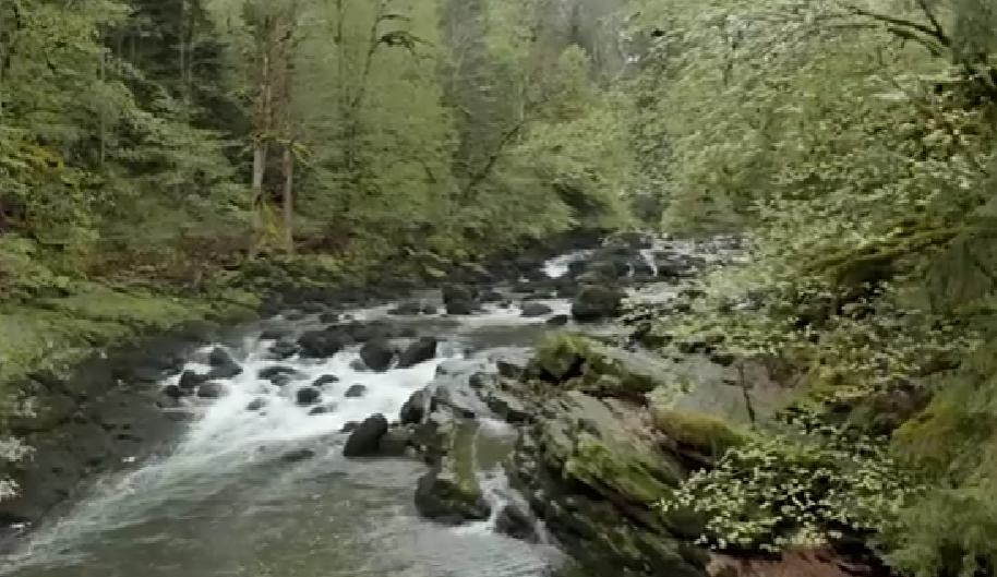 Untouched wilderness in Swiss National Park
