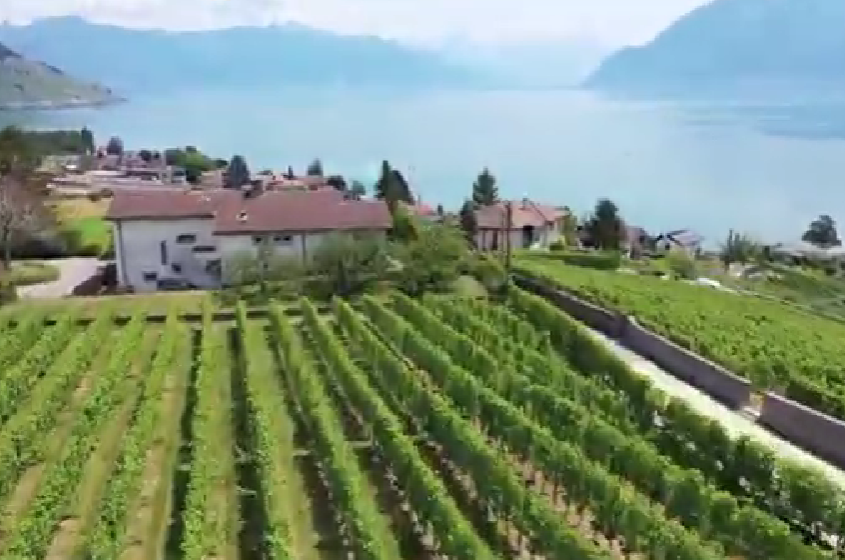 Fête des Vendanges in Montreux: joyful autumn wine festival with grape stalls, festive lights, and visitors enjoying tastings by Lake Geneva.