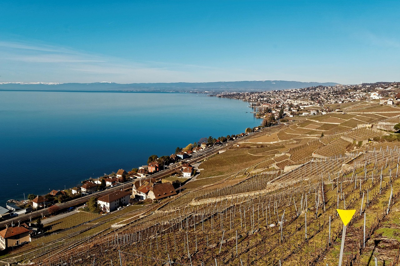 Peaceful view of Lake Geneva