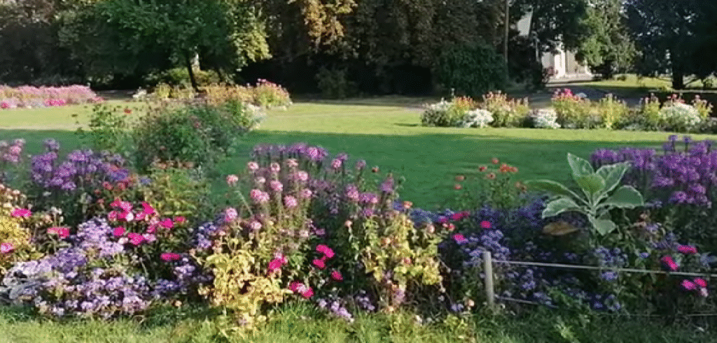 Parc de la Perle du Lac – Peaceful Green Spaces Among Free Geneva Attractions
