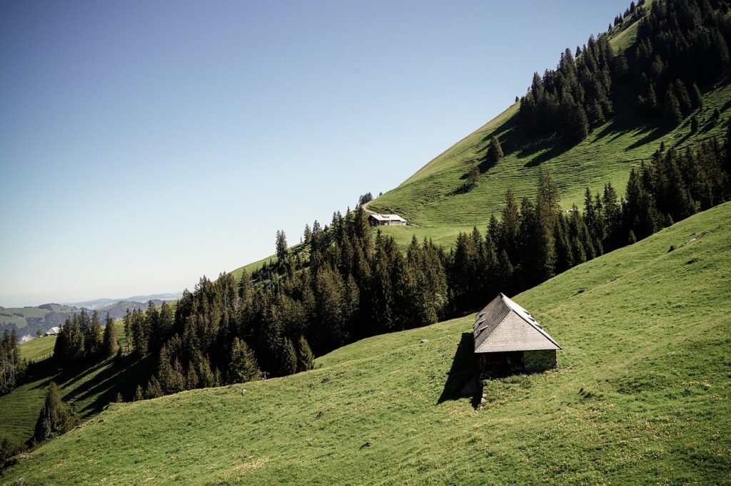 Peaceful Swiss pasture near the Alps on a sunny day