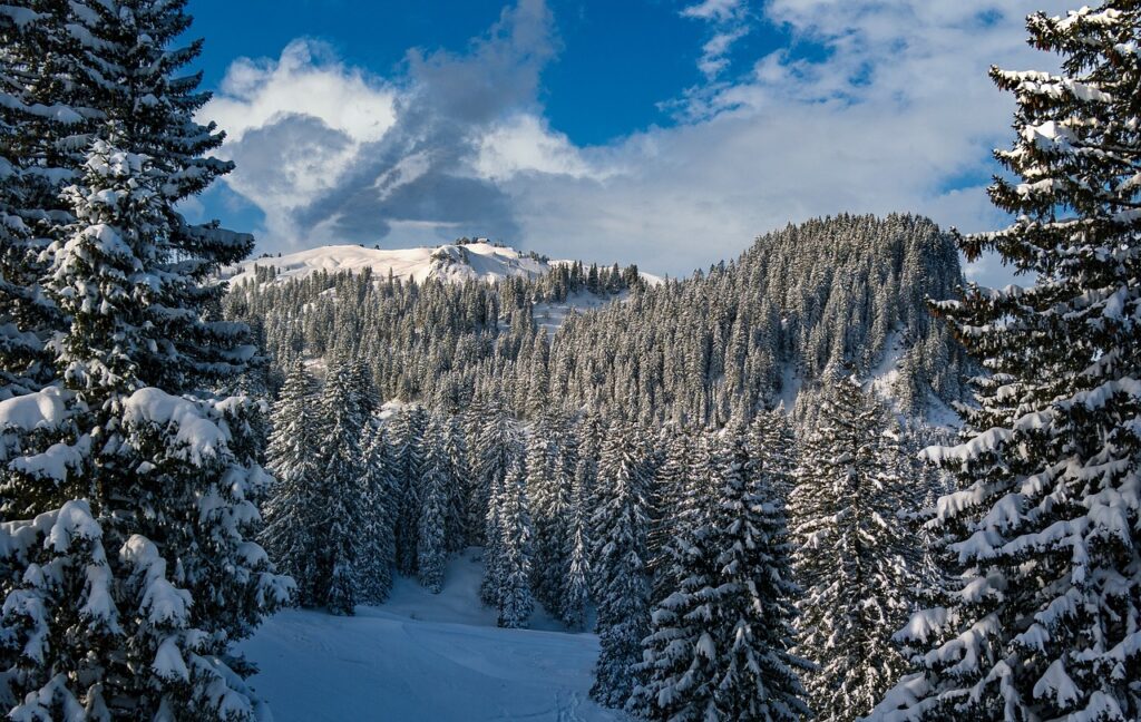 Winter hiking trail covered in snow in Switzerland