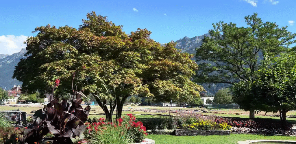 Höheweg Park, located in the heart of Interlaken, is one of the most best picnic spots in Switzerland for travelers.