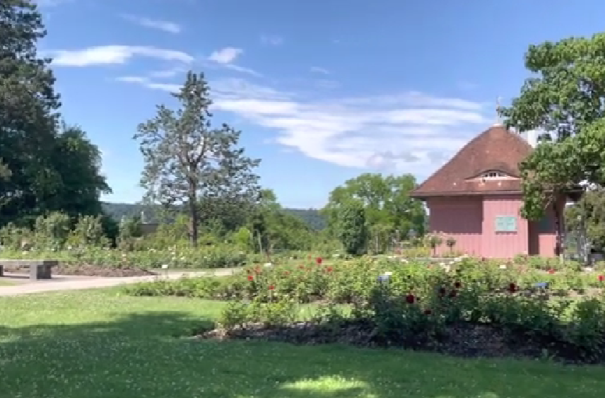 Rosengarten – one of the hidden green gems in Winterthur, offering peaceful walking paths, colorful rose displays, and panoramic city views.