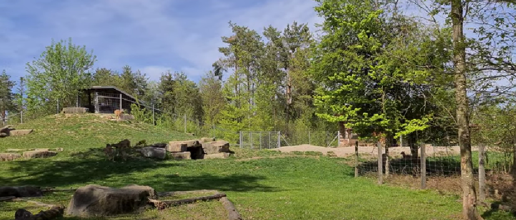 Wildpark Bruderhaus – one of the top hidden attractions in Winterthur, perfect for nature walks and spotting native Swiss wildlife.