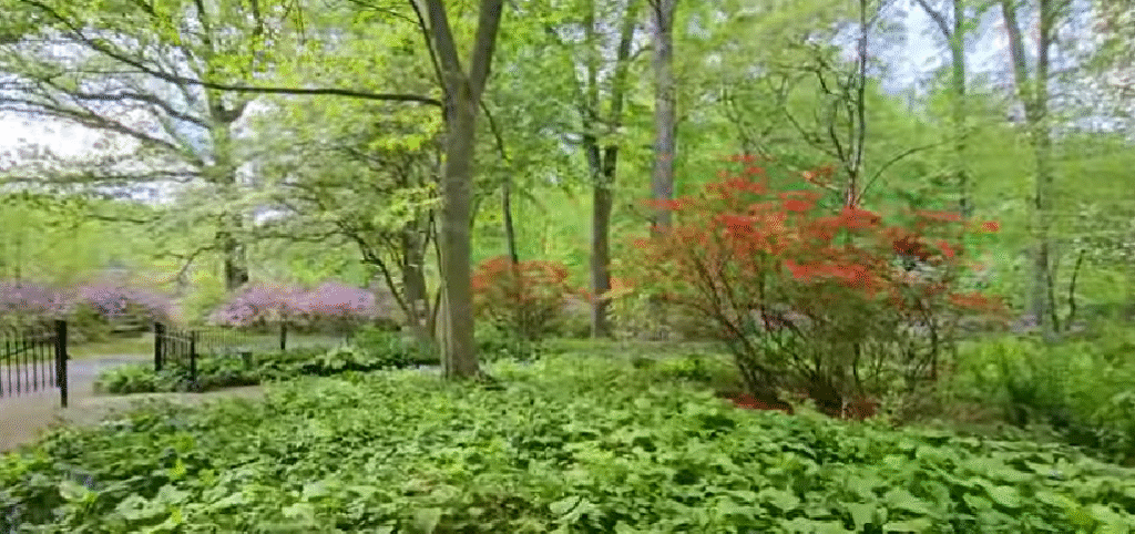 Winterthur Botanical Garden