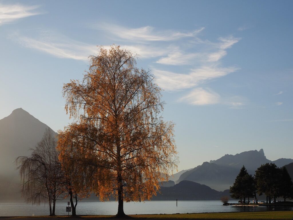 Interlaken, one of the best places for luxury stays in Switzerland.
