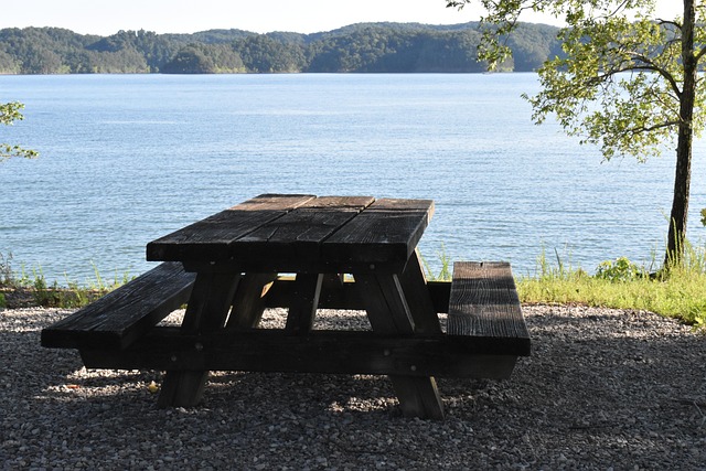 Bench by the lake – one of the best picnic spots in Switzerland.