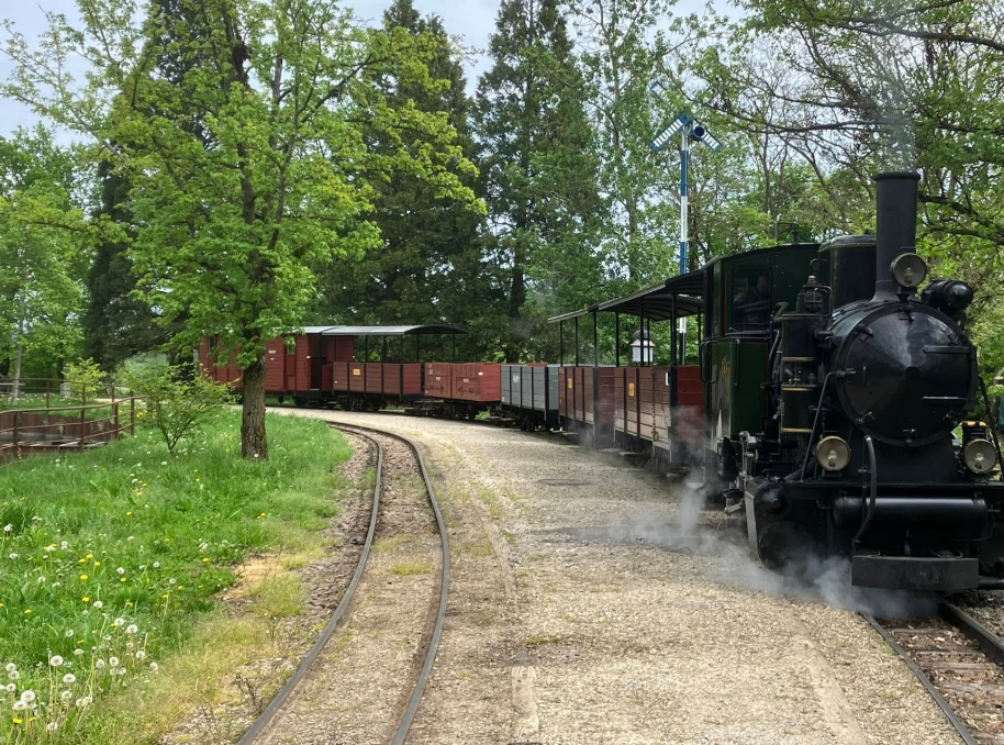 The Schinznacher Baumschulbahn (SchBB) is a unique miniature railway located in Schinznach-Bad, Aargau.