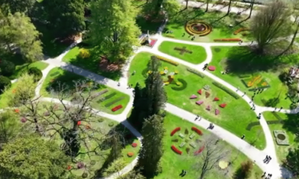 Tulip Festival in Morges